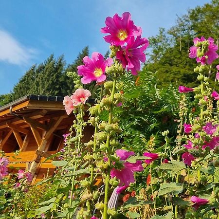 Chalet Arpitan - Les Carroz - Grand Massif Εξωτερικό φωτογραφία