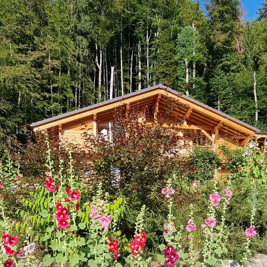 Chalet Arpitan - Les Carroz - Grand Massif Εξωτερικό φωτογραφία