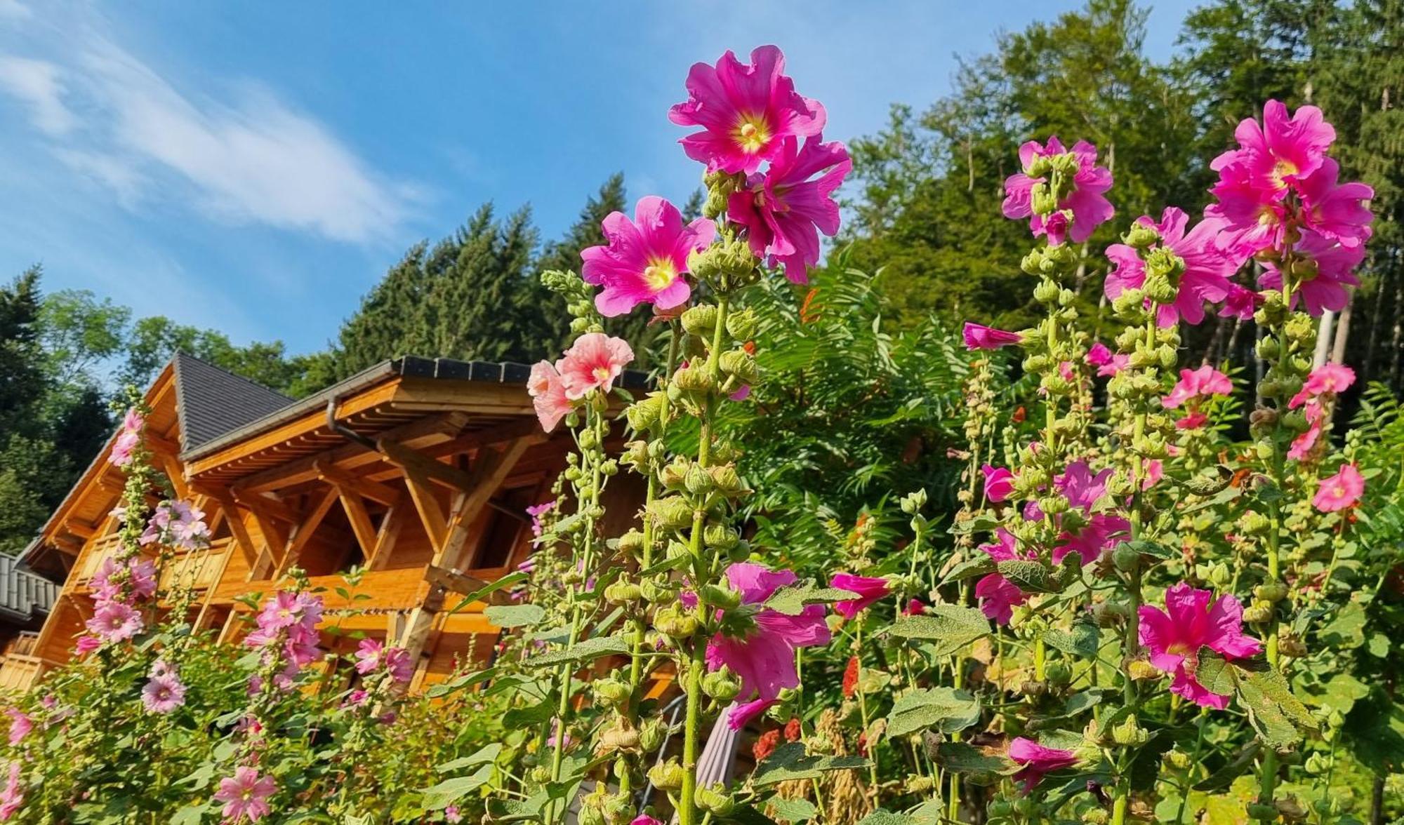 Chalet Arpitan - Les Carroz - Grand Massif Εξωτερικό φωτογραφία